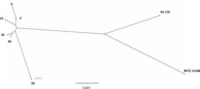 Genomic and Phenotypic Characterisation of Campylobacter jejuni Isolates From a Waterborne Outbreak